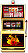 Multi-Payline Wild Fire